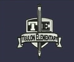 Teulon Elementary Heavyweight Blend 50/50 Hoodie 2